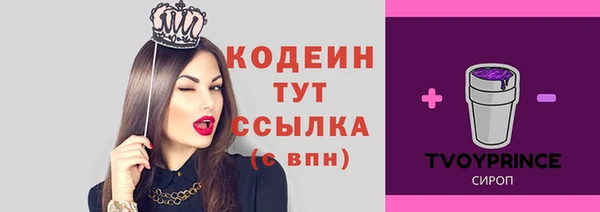 гашик Лабытнанги